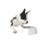 Splash-Free Pet Water Bowl