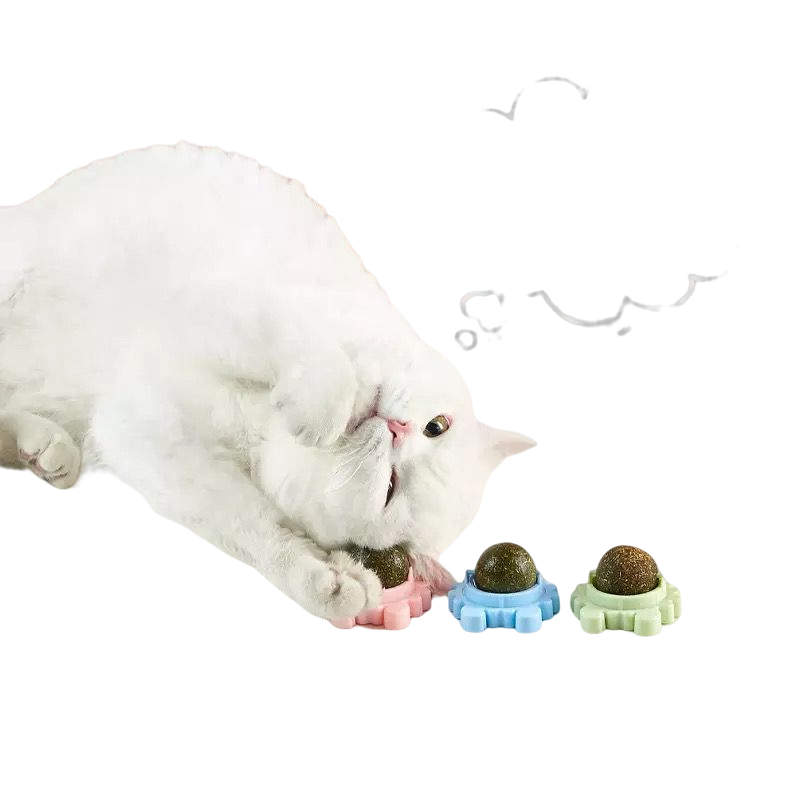 Cat Healthy Catnip Nutrition Energy Ball