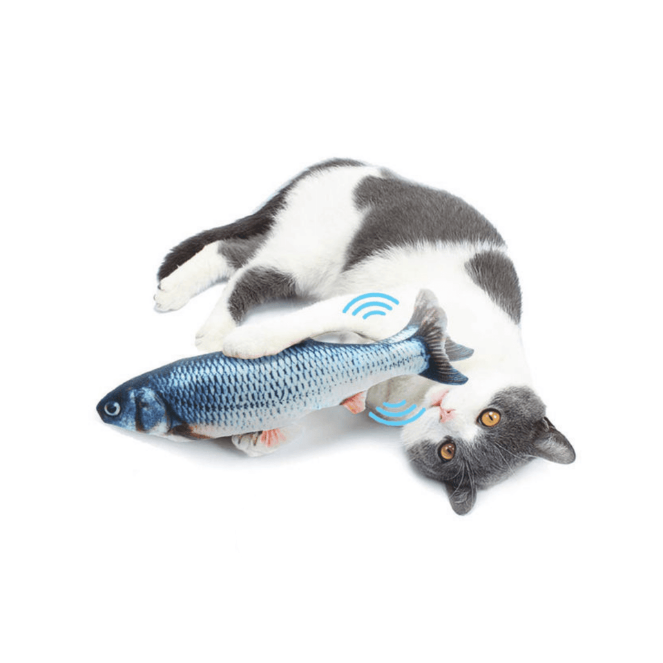 Cat playing the fish toy kicker 