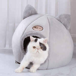 self warming cat bed