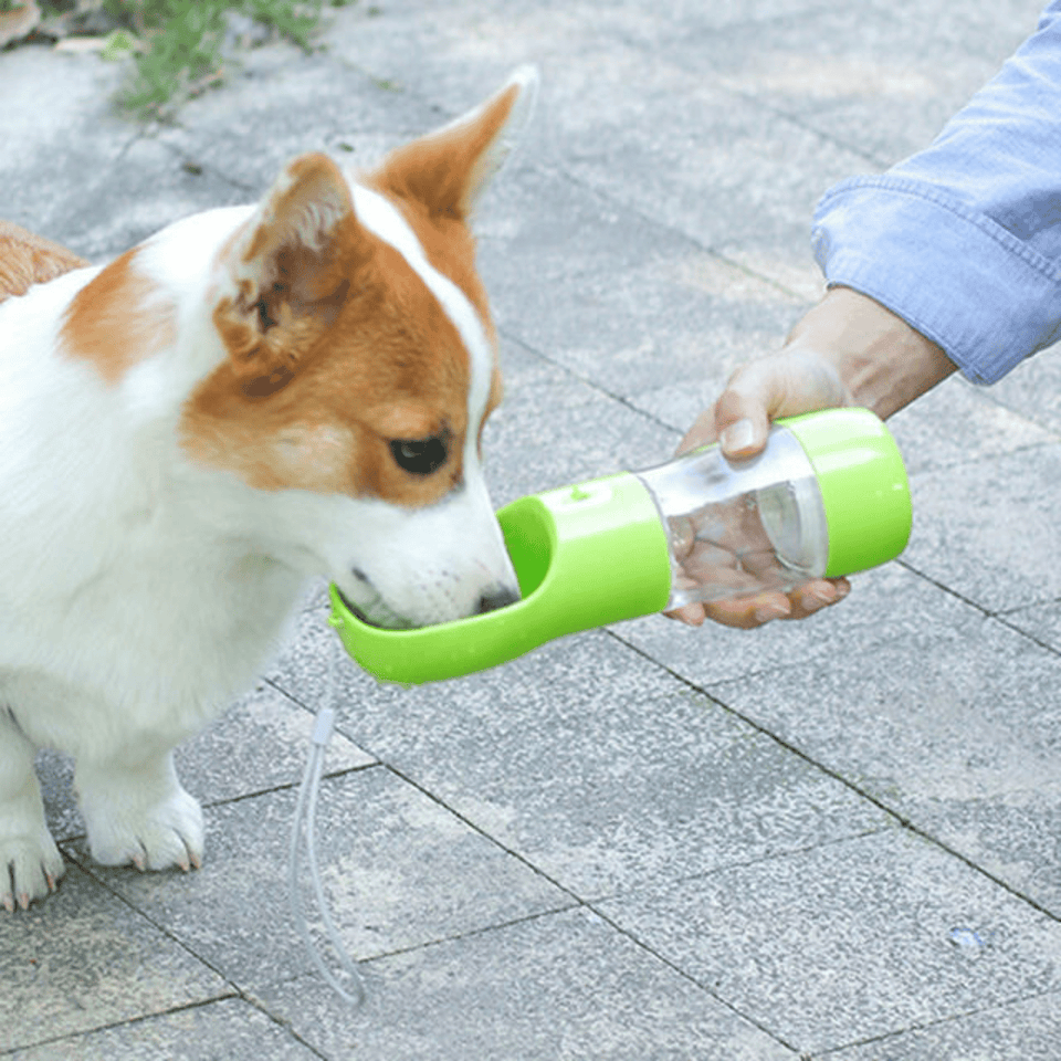 2 in 1 Portable Dog Water Bottle
