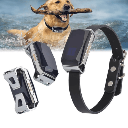 Best Waterproof GPS Dog Tracker No Subscription