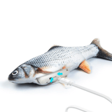Toy fish exposing the motor on it body with charging cord