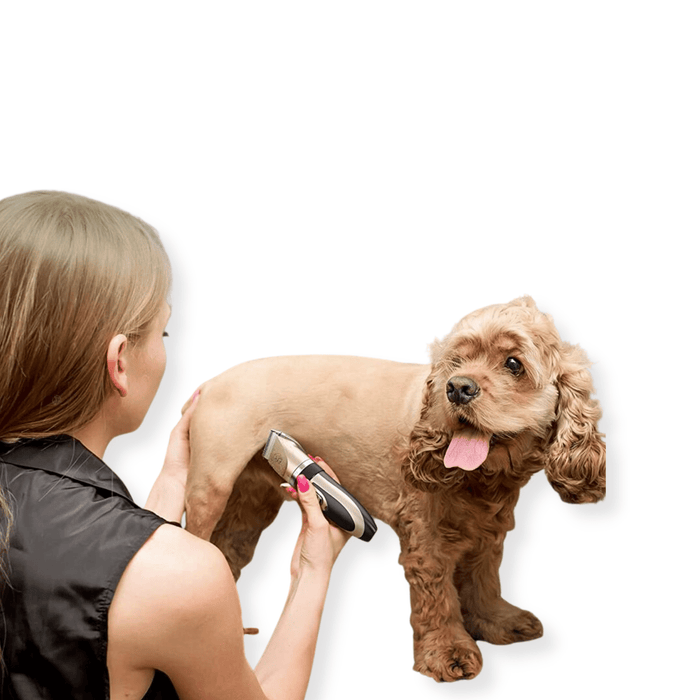 Professional Dog Hair Trimmer Set